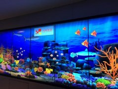 画画水族馆是什么